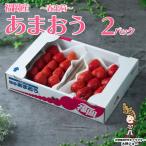 フルーツ専門店が選んだ あまおう苺 春250g×2パック