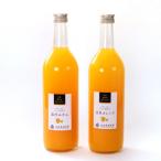 無添加甘夏ジュース 約720ml×2本