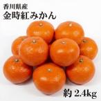金時紅みかん 約2.4kg