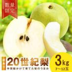 訳あり 廿世紀梨 3kg