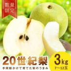 廿世紀梨 3kg