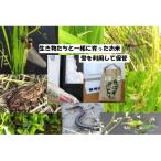魚沼ブランド 精米5kg