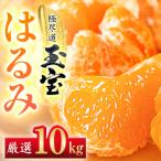 とろ甘食感 はるみ 10kg