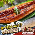 ふっくら肉厚うなぎ蒲焼 計約1.5kg 約500g×3尾