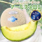 じゅわっと甘い香りのアールスメロン1玉
