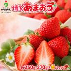 博多あまおう 春 250g-270g×6パック