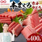 本まぐろ赤身 中とろ2柵セット マグロ