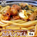 元祖 舞鶴名物 ホルモンうどん 6人前