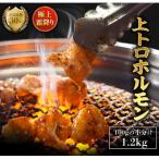 霜降り 極みトロホルモン 1.2kg
