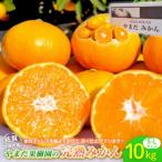 やまだ果樹園の完熟みかん 約10kg