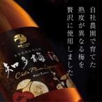 知多梅酒720ml 1ケース 中埜酒造