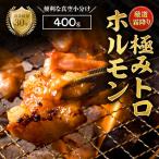 霜降り 極みトロホルモン 400g