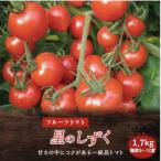 フルーツトマト 1.7kg