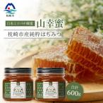 生はちみつ 日本みつばち 300g×2