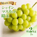 産シャインマスカット 晴王 秀品 約1kg×2房