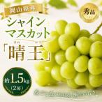 産シャインマスカット 晴王 秀品 約1.5kg