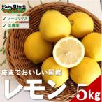 紀州 レモン 約5kg