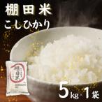 能登米コシヒカリ 5kg×1袋