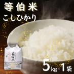 等伯米コシヒカリ 5kg×1袋