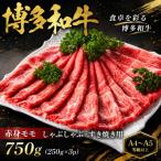 訳あり この味プレミアム 博多和牛切り落とし 750g