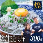 新物 泉州生しらす 煌 きらめき 300g