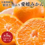 小林果園の果汁 愛媛温州みかん 約5kg