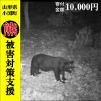 熊被害対策支援 10,000円