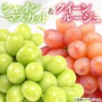 シャインマスカット&クイーンルージュ1.1kg