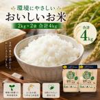 環境にやさしいおいしいお米 つやおとめ 計4kg