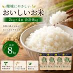 環境にやさしいおいしいお米 つやおとめ 計8kg