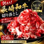 fu.... налог .. гарантия город [A4~A5] есть перевод! Nagasaki мир корова порез . сбрасывание 250g