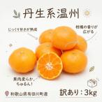 訳あり 丹生系温州みかん 3kg