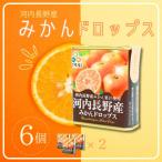 みかんドロップス 6個セット 河内長野産みかん果汁使用