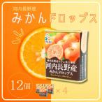 みかんドロップス 12個セット 河内長野産みかん果汁使用