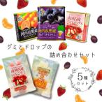 グミとドロップの詰め合わせセット 5種類 各1個