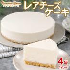 レアチーズケーキ 4号×1台