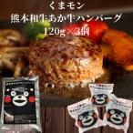 くまモンあか牛ハンバーグ3個セット あか牛ハンバーグ120g×…