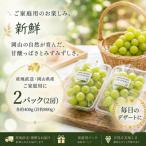 シャインマスカット 晴王 400g×2房