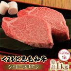 くまもと 黒毛和牛 シャトーブリアン 1.0kg