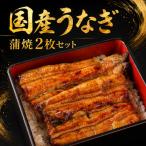 2枚セット 蒲焼 でふっくら