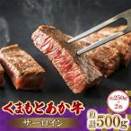 くまもとあか牛サーロイン 250g×2枚