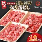2872 うしの中山 黒毛和牛 切り落とし 1.2kg