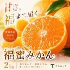 ふるさと納税 松山市 【いま注目されています】濃密な甘さ【福蜜みかん】2kg　愛媛県産