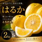 酸味ほぼなし 2kg