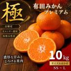 極 有田みかんプレミアム 約10kg
