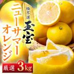 玉宝ニューサマーオレンジ 3kg
