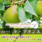 令和9年産先行受付 芳醇 ラ フランス 約2kg