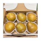 令和9年産 産ラ フランス ゴールド 特秀品