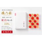 雅乃苺 20粒紅白セット