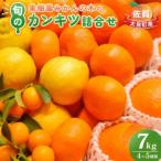 果樹園みかんの木の旬のカンキツ詰合せ 約7kg